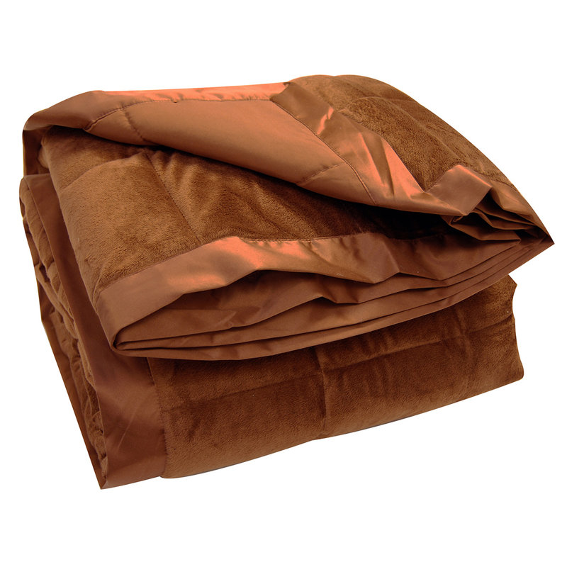 Latitude Run® Arnela AllSeason Down Alternative Plush Blanket